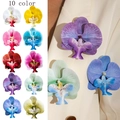Phalaenopsis orchid floral brooch pins set in 10 vibrant colors for summer accessories - 10 Colors Set (29517-colour)