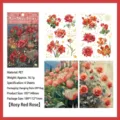 Set of 4 rose-themed vintage PET stickers for journaling and DIY crafts in magenta - Rose Red Monthly Rose / 105*148mm (4 Sheets)