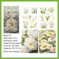 Floral PET sticker set in white and gold featuring 4 sheets of botanical illustrations - Silver Anemone Picturesque / 105*148mm (4 Sheets)