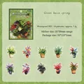 Waterproof PET stickers featuring watercolor green fern and leaf plant designs, 20 pieces - Green Spring