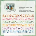 Set de cintas PET de pintura al óleo artística Mezcla Especial con 6 rollos decorativos - Estilo Especial Casual
