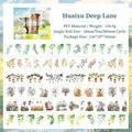 Set de 6 rubans PET floraux Huaixu Alley avec motifs botaniques pour décoration DIY - Sophora Japonica Allée Profonde (槐序深巷)