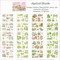 Apricot Blush DIY sticker book featuring 20 sheets of waterproof PET garden floral stickers - Apricot Blush