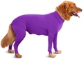 Close-up of purple high-stretch surgical recovery suit for large golden retriever dogs - S (Chest 50 Back Length 58cm) / Set / Purple
