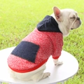French Bulldog wearing a red and white pet hoodie with blue denim pocket and hood outdoors - XS / Tops / Red Knitted Hoodie With Denim Pocket