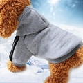 Sweat à capuche gris pour animaux en maille chaude pour chiens et chats en hiver - S / Gris