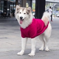 Knitted magenta sweater for medium large dogs, warm winter pet apparel on Alaskan Malamute - 4XL (Chest 64CM) / Burgundy