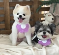 Bandana pour animaux violet en forme de pétale à pois blancs pour chiens et chats - M / Fleur Violette