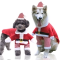 Christmas pet Santa costume set with hat and striped legs for dogs and cats - Standing Santa Claus Two-Piece Set / XS / Red White