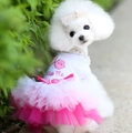 Hunde-Tüllkleid mit rosa Farbverlauf, Kiss Me-Stickerei und Strass-Schleife-Detail - S / Rosa (Lippenstickerei)