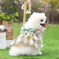 Detail van gele geruite huisdierjurk met een groene strik voor kleine honden buiten - XS / Groen Gele Ruit