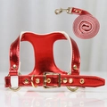 Close-up of red metallic pet harness and leash set with premium gold metal hardware - S (Up to 4kg Pets) / Bright Red