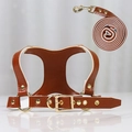 Brown faux leather dog harness and leash set with adjustable gold metal hardware - S (Up to 4kg Pets) / Brown