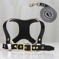 Adjustable black faux leather dog harness and leash set with premium gold metal hardware - Black