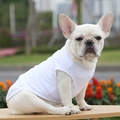 Weiße ärmellose Hundeweste aus Baumwolle für Französische Bulldoggen im Freien - XS / Oberteile / Weiß
