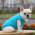 Nahaufnahme der hellblauen elastischen Baumwollweste für Hunde im Garten gefilmt - XS Brust 30 Rücken 17cm / Oberteile / Seeblau