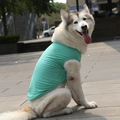 Chaleco de algodón transpirable verde menta para perros grandes como Golden Retriever - XS / Tops / Azul lago
