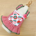 Pink and white checkered pet dress with strawberry print and lace trim for cats and dogs - XS / Red Plaid Strawberry