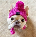 Cappello in maglia rosa vibrante con pompon e nappe intrecciate per cani e gatti - M (Circonferenza della testa 41-51cm) / Viola