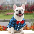Camicia a quadri per cani con papillon rosso per matrimoni, ideale per Bulldog Francese - XS / Camicia a Quadri Blu e Nera con Farfallino