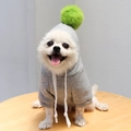 Sweat à capuche gris pour chien avec pompon vert et cordons blancs sur un Loulou de Poméranie - S / Gris