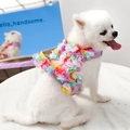 Set pettorina e guinzaglio per cani piccoli con decorazioni floreali colorate viola - M (Suggerito 2.5-5kg) / Viola