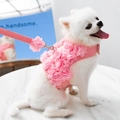 Set pettorina e guinzaglio in mesh rosa con fiori di pizzo 3D per cani di taglia piccola - M (Suggerito 2.5-5kg) / Rosa