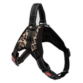 Close-up of leopard print dog harness featuring safety lock buckle and durable D-ring - Leopard Print