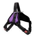Detail of purple dog harness with reflective strips, D-ring and red safety lock buckles - Purple