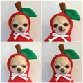 Funny red apple themed pet hoodie with green leaf detail for small dogs and cats - XS / Red Apple Hoodie
