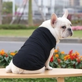 Gilet classico in cotone nero per bulldog francesi e cani di piccola taglia all'aperto - Gilet In Puro Cotone Nero / Taglia S: Busto 35 Cm Lunghezza Schiena 22 Cm