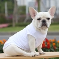 White breathable cotton pet vest for French Bulldogs and medium dogs in a summer style - XS / White