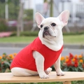 Red breathable cotton pet vest for small dogs featuring a sleeveless sporty design - XS / Red