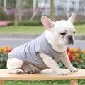 French Bulldog wearing a grey sleeveless cotton pet vest standing on wooden table - XS / Gray