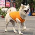 Vibrant orange high-stretch cotton vest for large dogs in outdoor settings - XS Chest 30 Back 17cm / Tops / Orange