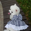 Vestido JK de cuadros azules para mascotas con lazo y encaje para perros pequeños - M / Conjunto de vestido con encaje / Cuadros Negros y Azules