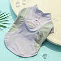 Dettaglio del gilet sportivo per animali con anello a D e tessuto a rete traspirante - XS (Torace 30cm) / Viola e Grigio (Gilet in Seta di Ghiaccio)