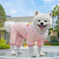 Detail of pet knit romper with pink and yellow texture and delicate lace collar - XS / Four-Legged Clothes / Phantom Pink