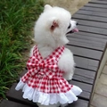 Falda de cuadros rojos para mascota con lazo y anillo en D en un perro blanco - M (Pecho 40 cm, Sugerido 2,5-4 kg) / Vestido con Borde de Encaje (Modelo 273D) / Cuadros Rojo Blanco