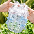 Sky blue mesh pet fairy dress with white lace trim and metal D-ring for small dogs - XS / Blue