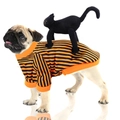 Halloween pet sweatshirt with orange stripes and 3D black cat plush for small dogs - M / Standing Black Cat Style