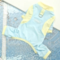 Blue pet cooling vest with yellow trim and Sport label featuring a built-in D-ring - Blue & Yellow Contrast (Jumpsuit)