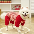 Close-up of red and white striped cotton knit pet pajamas on a small white dog - Jumpsuit Red Stripe