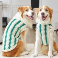 Dettaglio del maglione a maglia a zig-zag verde e bianco per cani di grossa taglia - XS / Verde