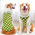 Gilet verde per cani con pompon bianchi e colletto in pizzo, vista frontale e posteriore - XS / Pizzo Verde a Pois