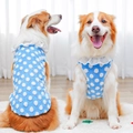 Gilet per cani blu a pois con bordo in pizzo e anello a D per Golden Retriever - XS / Pizzo Blu a Pois