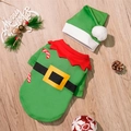 Set costume natalizio da elfo per cani con maglione verde e cappello di Babbo Natale - Set Elfo di Natale Verde / S