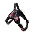 Verstellbares schwarzes Hundegeschirr mit Flaggenmuster und reflektierenden Streifen - US-Flaggen-Stil / XS