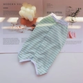 Pet recovery suit with green and white horizontal stripes and white cotton trim edges - XXS / Green and White Striped