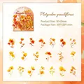 Adesivi floreali arancioni in PET impermeabili per scrapbooking, motivo floreale - Platycodon nel Vento